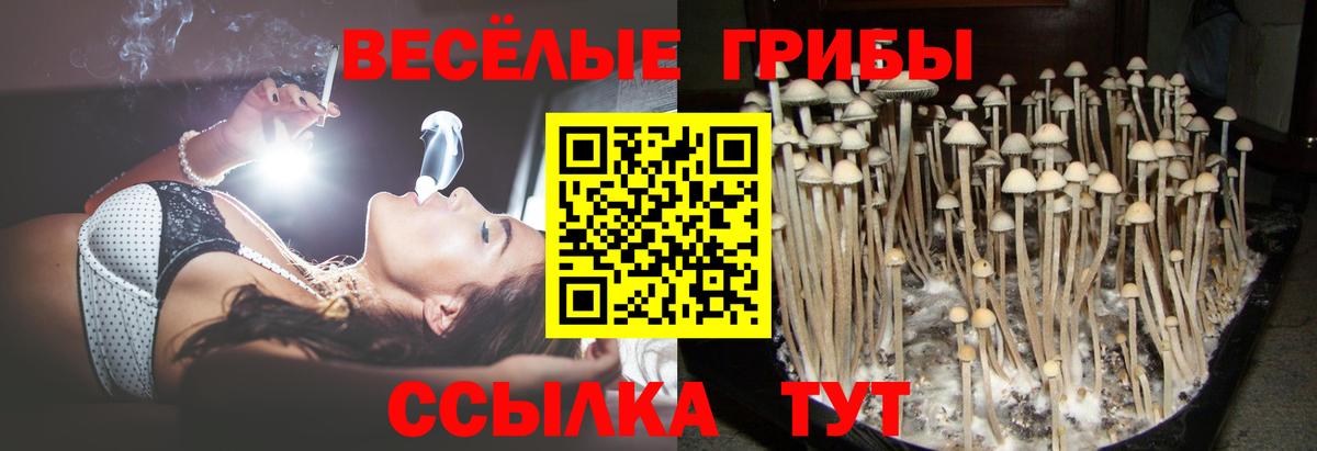 Галлюциногенные грибы Cubensis  Вход с VPN  Воркута 